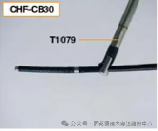 335900aefcda5d6ed627e02c3110ab82.png