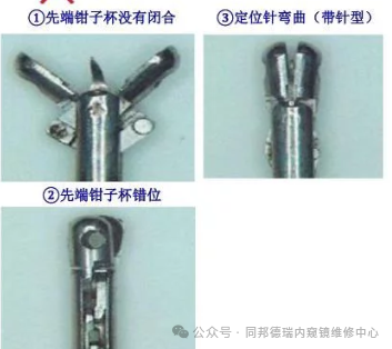 5555e9f5621334f5a18c497350fc92fc.png