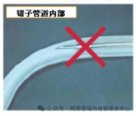 feb4798a1b389f1d9be02f148caa8acb.png