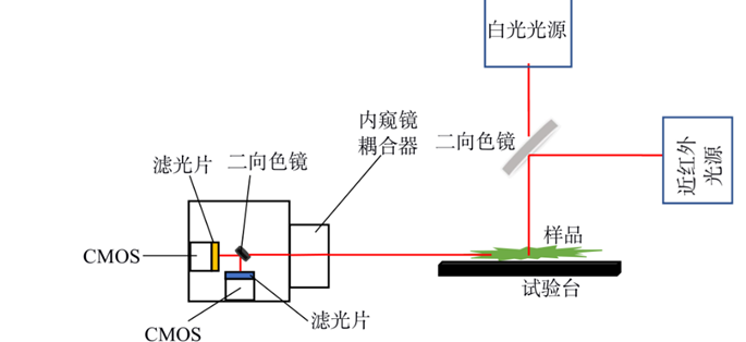 231e83cc88fb2c62104161b5747a54bc.png