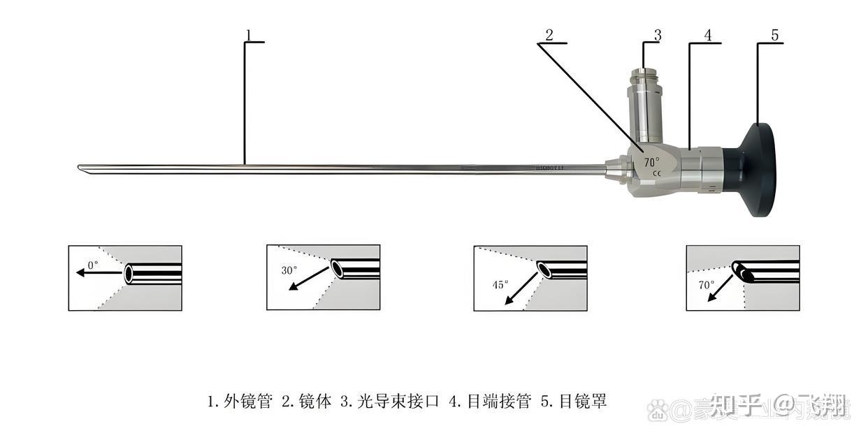 v2-16af59cac79b79fb8be90190f7d12db6_1440w.jpg